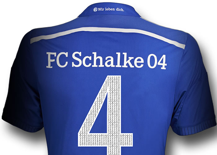 schalke2014-2